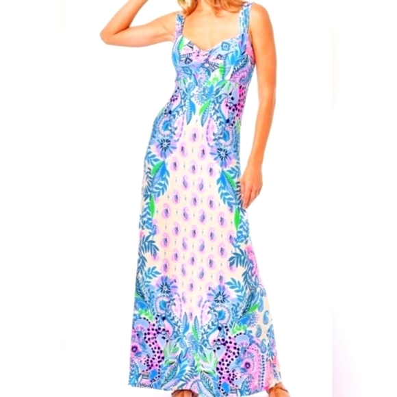 Lilly Pulitzer Dresses & Skirts - Lilly Pulitzer Ambria Maxi Dress in Haute Cature NWT Size 16